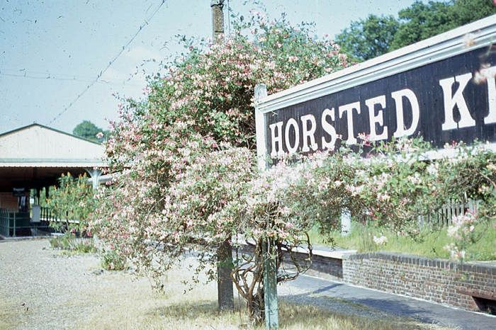 Horsted Keynes: June 1967